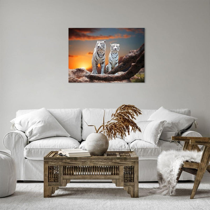 Bilder auf Leinwand Tiger weiss Rock Sonnenuntergang Leinwandbild 70x50cm Wandbilder Dekoration Wohn