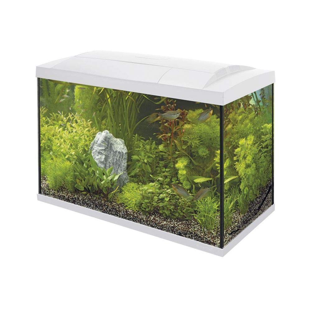 Superfish Start 70 Aquarium, Weiss weiss 70 l (Pack of 1), weiss 70 l (Pack of 1)