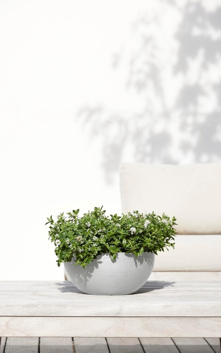 ECOPOTS Pflanzschale Blumentopf Brüssel Hellgrau Grau - Durchmesser Ø 30 cm rund gross - Pflanzentop