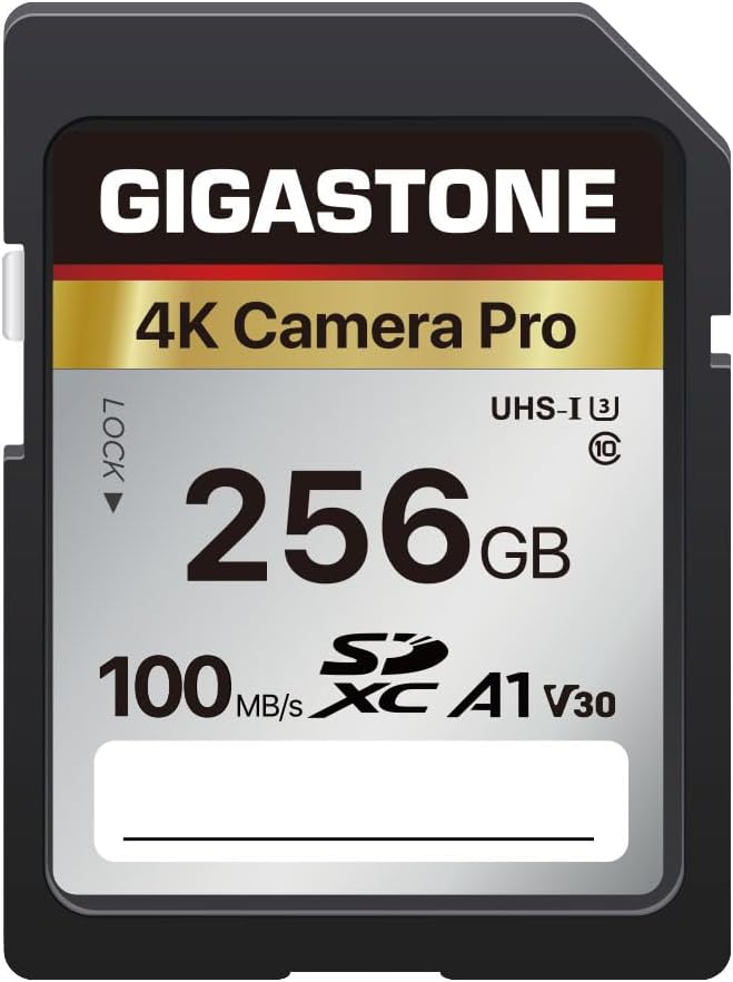 Gigastone SDXC-Speicherkarte, 256 GB, 4 K Kamera Pro Serie, Übertragungsgeschwindigkeit bis zu 100 M