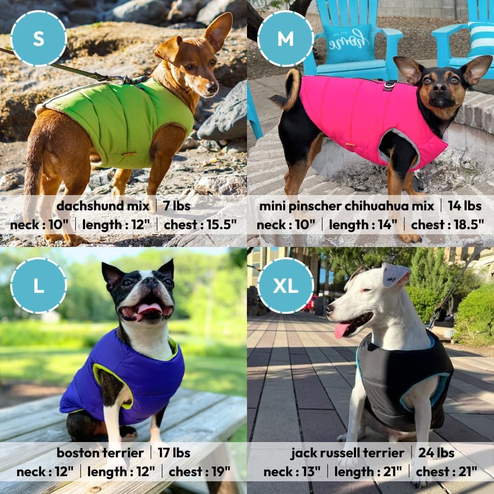 Gooby - Padded Vest Solid, Dog Jacket Coat Sweater with Zipper Closure and Leash Ring, Solid Purple,