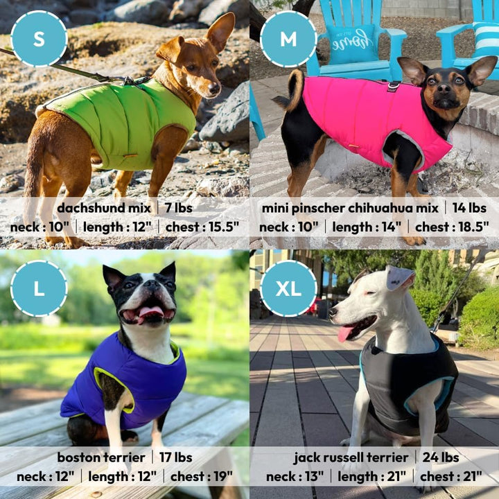 Gooby - Padded Vest Solid, Dog Jacket Coat Sweater with Zipper Closure and Leash Ring, Solid Purple,
