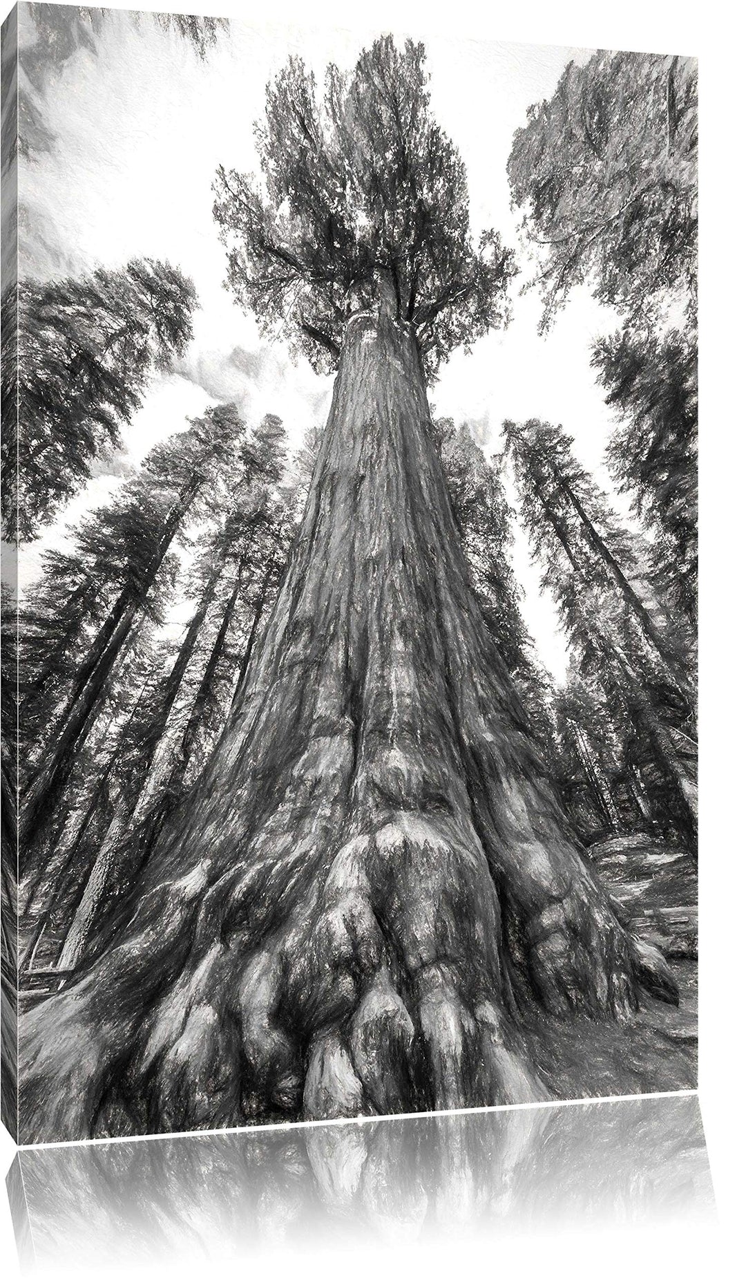 Pixxprint Mammutbaum im Regenwald Kohle Effekt, Format: 100x70 auf Leinwand, 100x70