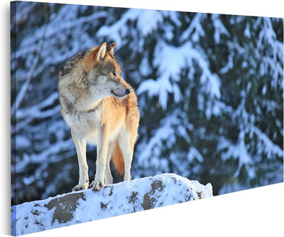 islandburner Bild auf Leinwand Wolf Vor Berg Schnee Bilder Wandbilder Poster Leinwand 100x57cm, Lein