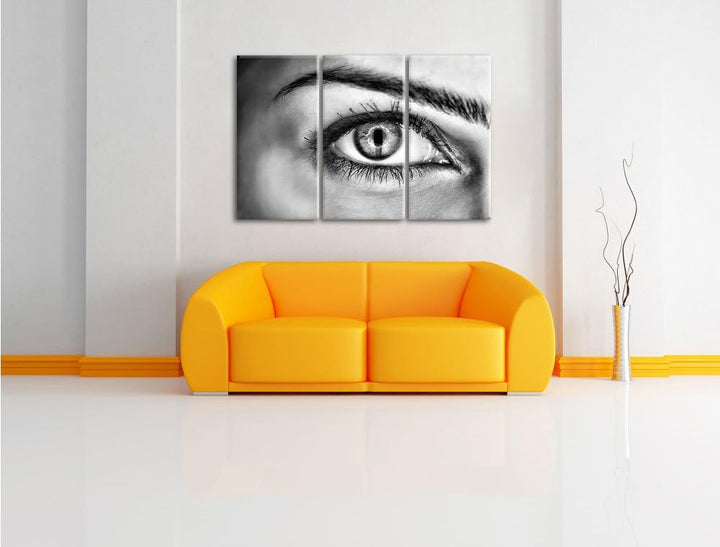 Pixxprint Monocrome, Auge Einer Frau 3-Teiler Leinwandbild 120x80 Bild auf Leinwand