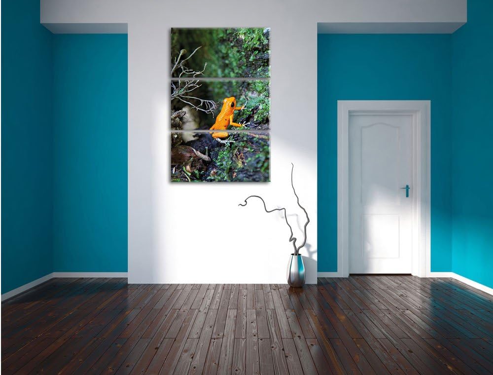 Pixxprint hochgiftiger Kleiner Frosch als Leinwandbild/Grösse: 3 Teilig (120x80) cm/Wandbild/Kunstdr