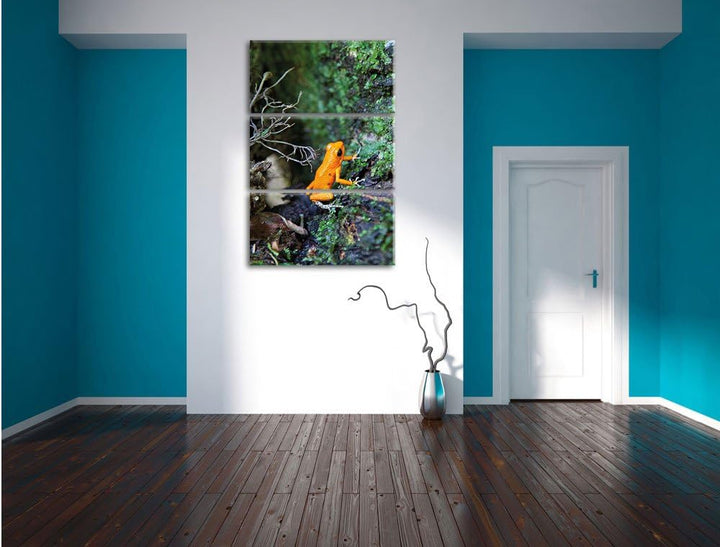 Pixxprint hochgiftiger Kleiner Frosch als Leinwandbild/Grösse: 3 Teilig (120x80) cm/Wandbild/Kunstdr