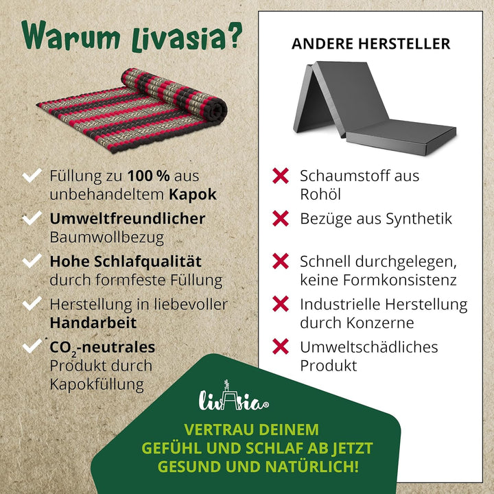 livasia Rollmatte Rollmatratze L-200x110x4,5cm, Gästebett Gästematratze 1 Person, Reisebett Kofferra