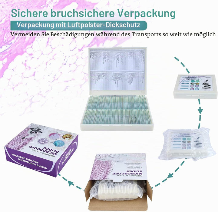 100P Mikroskop Objektträger mit biologischen Proben, Insekten Pflanzen menschliche Zelle für Labor B
