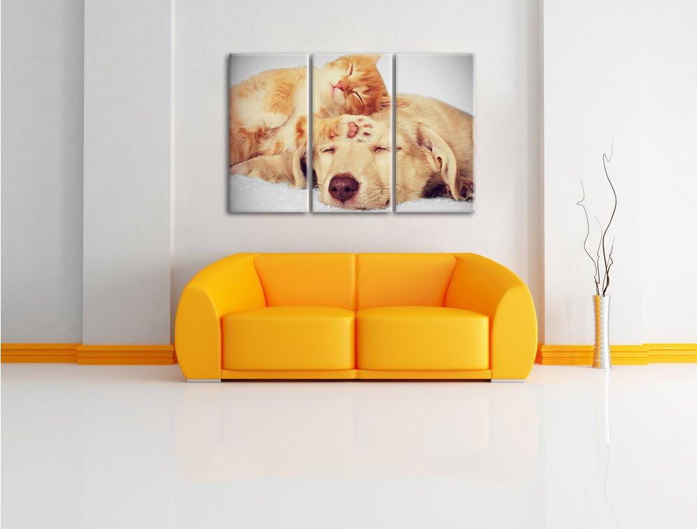 Pixxprint Kätzchen und Welpe schlafen B&W Detail 3-Teiler Leinwandbild 120x80 Bild auf Leinwand
