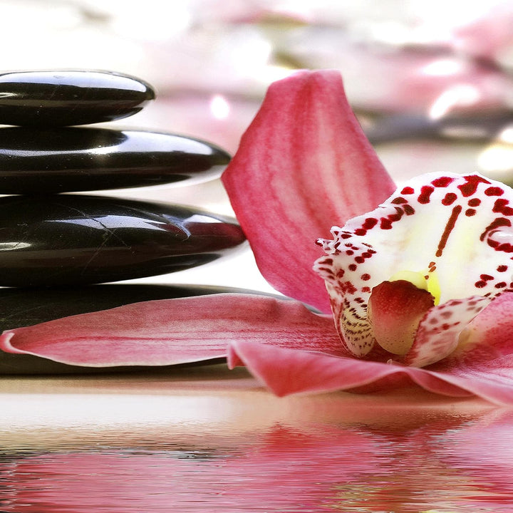 Runa Art Wandbilder Blumen Orchidee 5 Teilig Bild auf Vlies Leinwand Deko Wohnzimmer Steine Rosa Gra