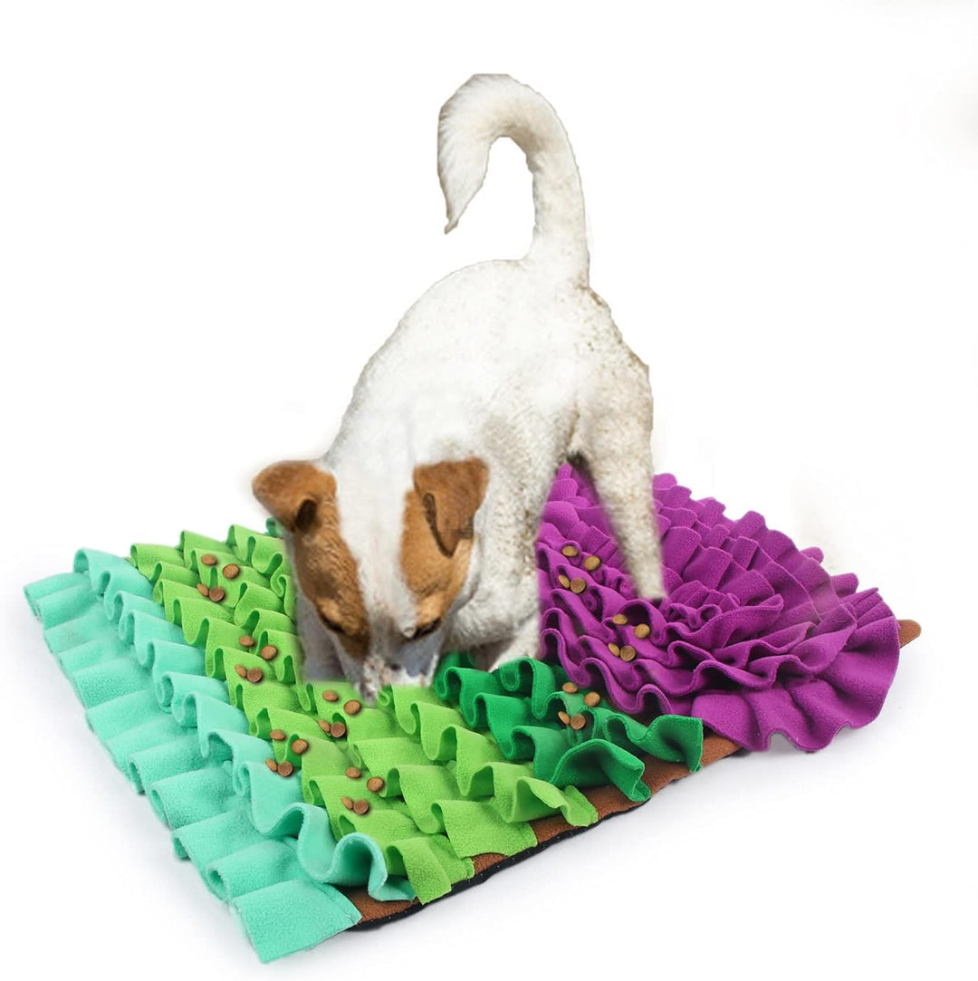 ALL FOR PAWS Dig It Fluffy Matte, 55 cm Durchmesser, 4 kg Pfoten, Pfoten