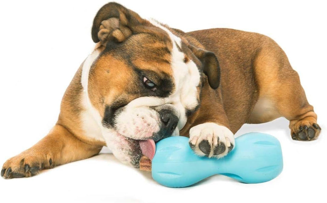 West Paw Zogoflex Qwizl Interaktives Leckerli-Spender, Hundespielzeug, Leckerli-Spielzeug für Hunde,
