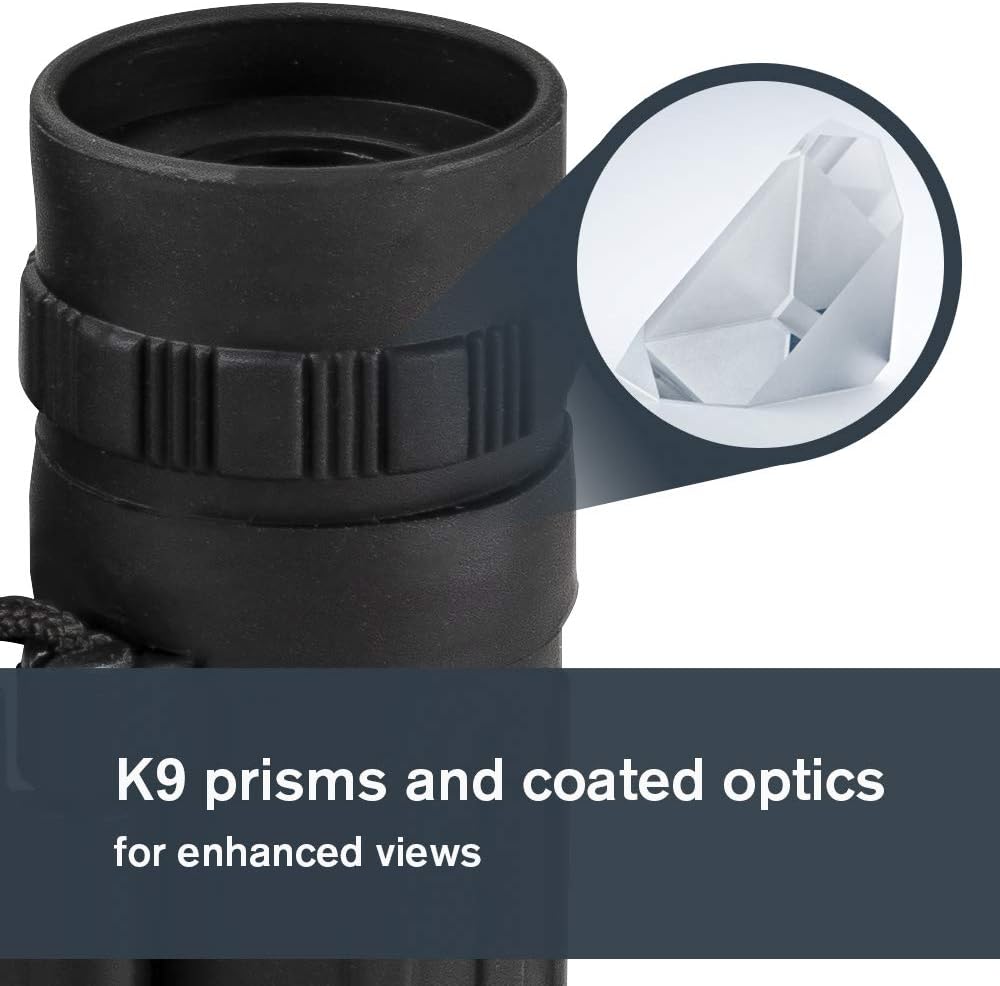 Celestron 72354 LandScout 16x32mm Water-Resistant Roof Prism Binoculars with Rubber Grip Surface, Co