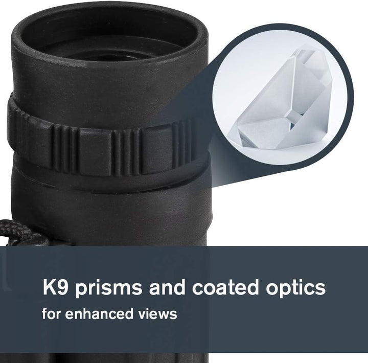 Celestron 72354 LandScout 16x32mm Water-Resistant Roof Prism Binoculars with Rubber Grip Surface, Co