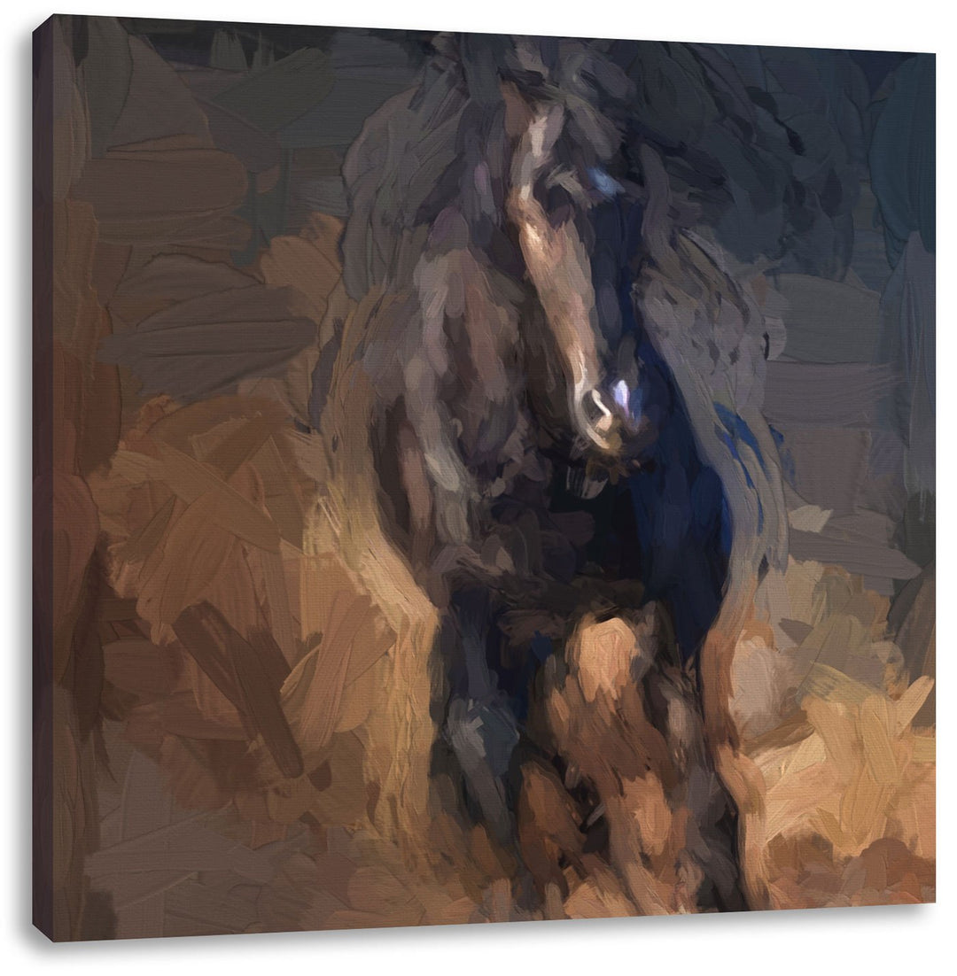 Elegantes schwarzes Pferd Pinsel Effekt, Format: 70x70 auf Leinwand, 70x70