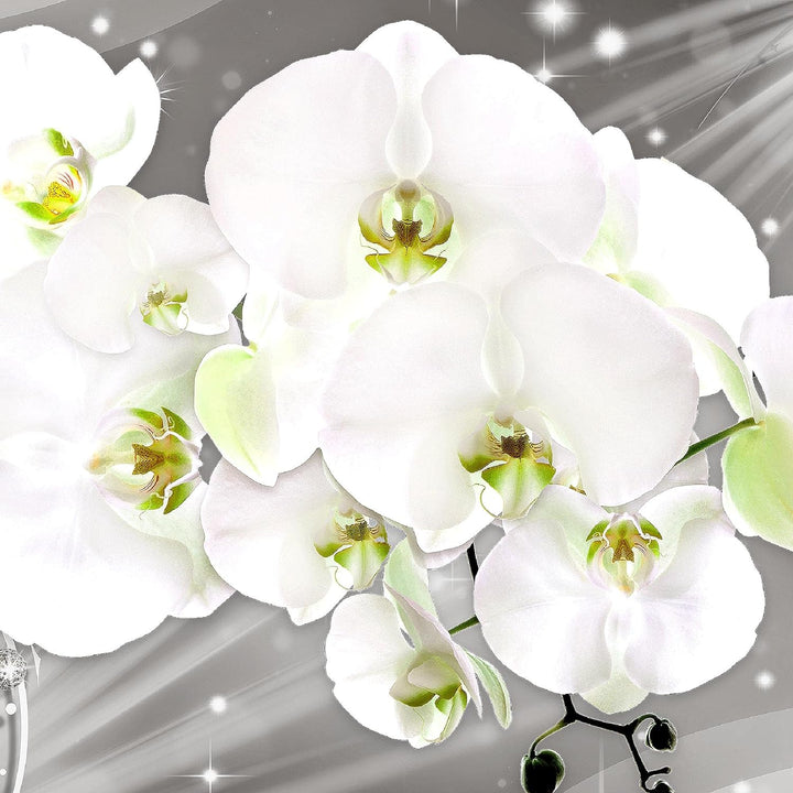 Runa Art Bild Modern Blumen Orchidee - Made in Germany - Wandbilder Abstrakt Grau 4 Teilig 006142b B