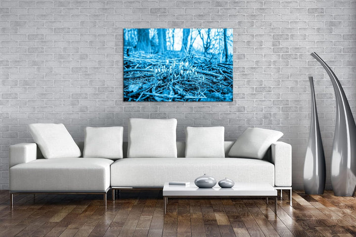 deyoli Der Frühling kommt - wachsende Schneeglöckchen Format: 80x60 Effekt: Monocrome Blau als Leinw
