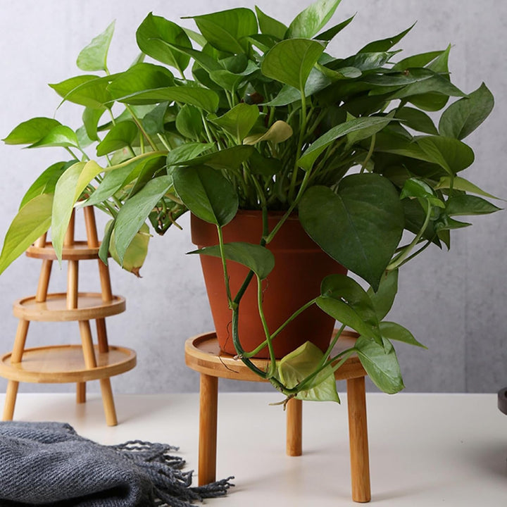 Blumenständer , Pflanzenständer , Blumenregal Für Terrasse, Blumentopfhalter Für Den Garten, Dekorat
