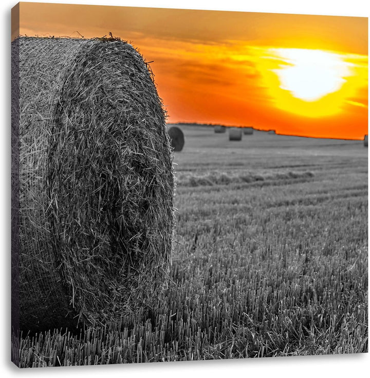 Pixxprint Strohballen auf Feld als Leinwandbild/Grösse: 70x70 cm/Wandbild/Kunstdruck/fertig bespannt