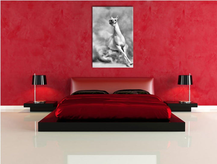 Pixxprint Weisses Pferd in der Wüste als Leinwandbild | Grösse: 100x70 cm | Wandbild | Kunstdruck |