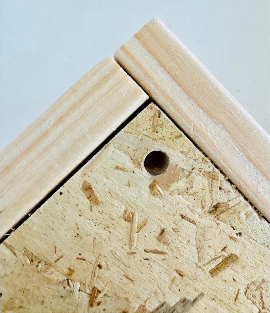 Holz Insektenhotel L Wildbienen-Nisthilfe Rechteckiges Insektenhaus Naturbelassen mit Schutzgitter