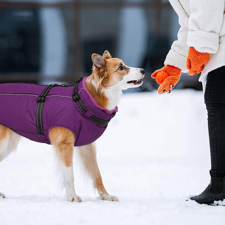 Kuoser Hundemantel für Mittelgrosse Hunde Winter, wasserdichte Hundejacke mit Geschirr, Warmer Winte