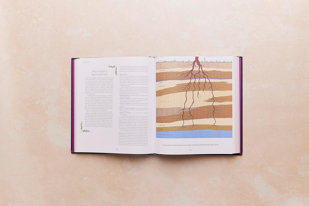 One Thousand Vines: A New Way to Understand Wine, Gebundenes Buch