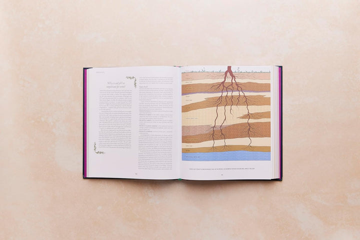 One Thousand Vines: A New Way to Understand Wine, Gebundenes Buch