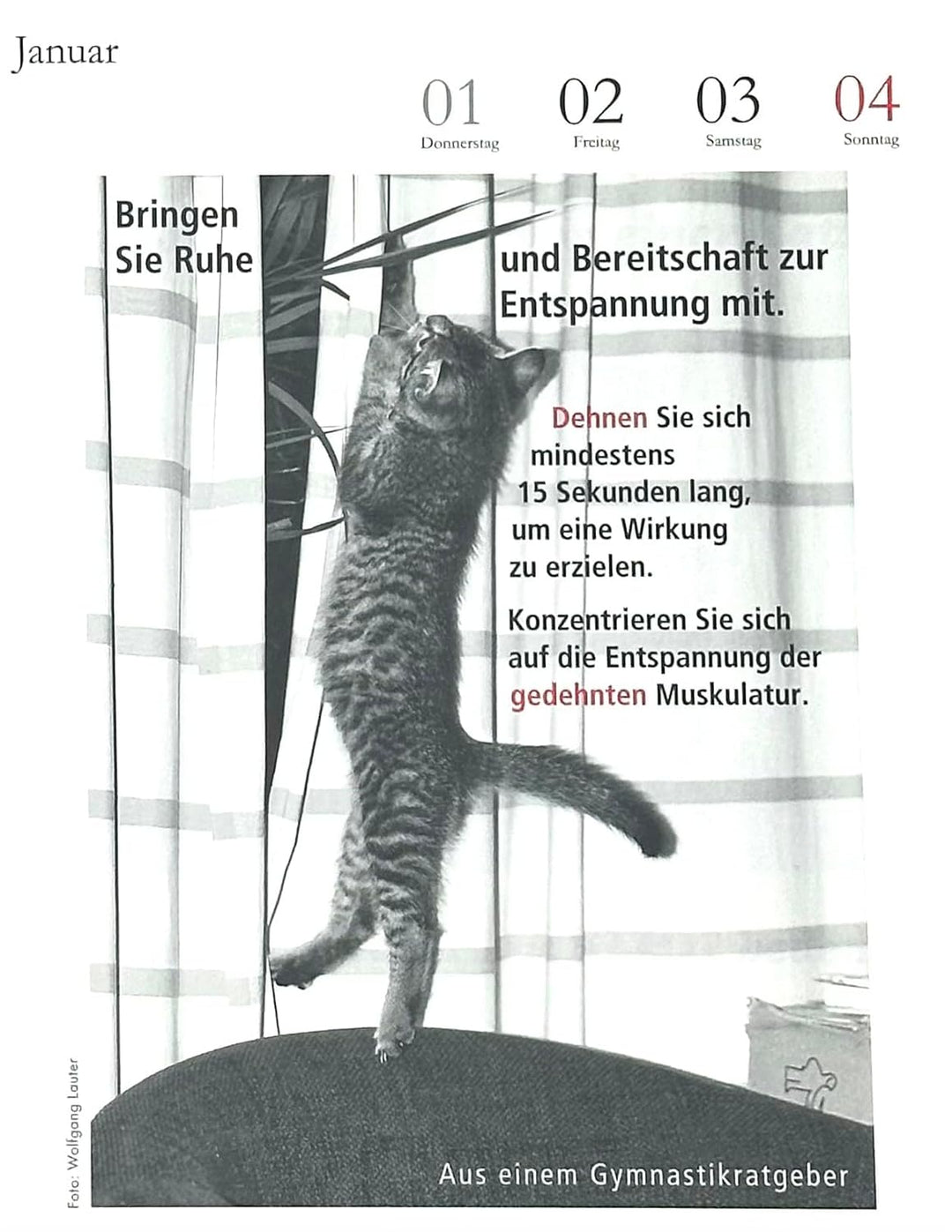 Der literarische Katzenkalender 2026. DAS ORIGINAL!, Spiralbindung