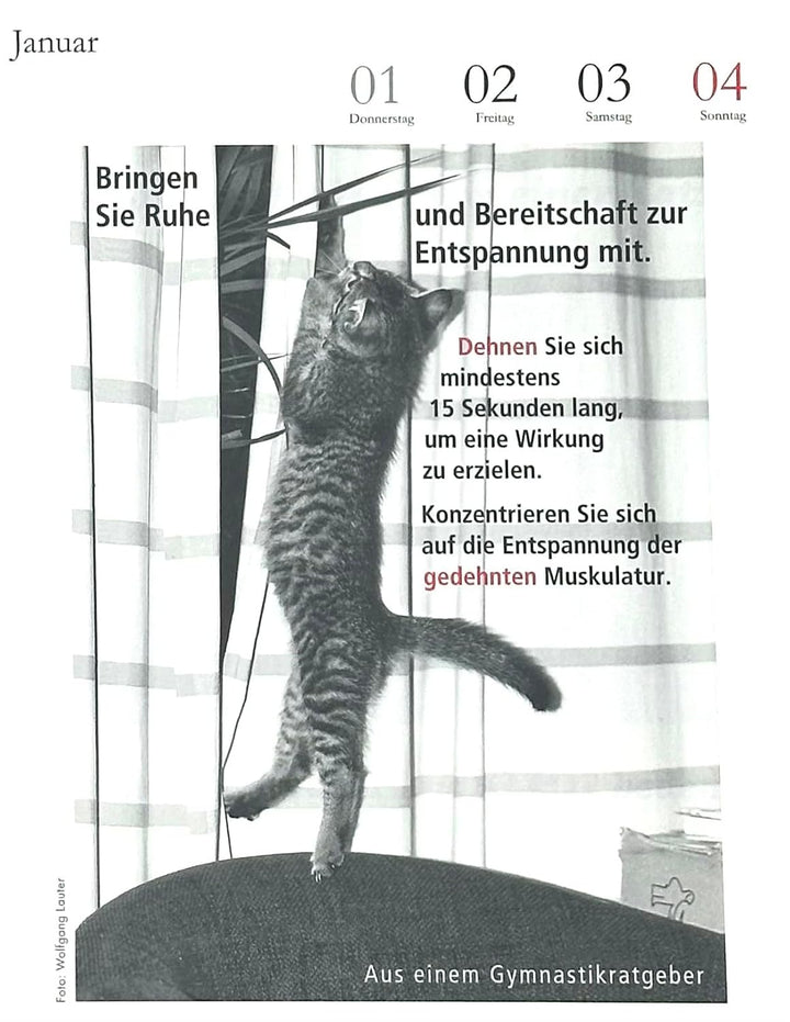 Der literarische Katzenkalender 2026. DAS ORIGINAL!, Spiralbindung