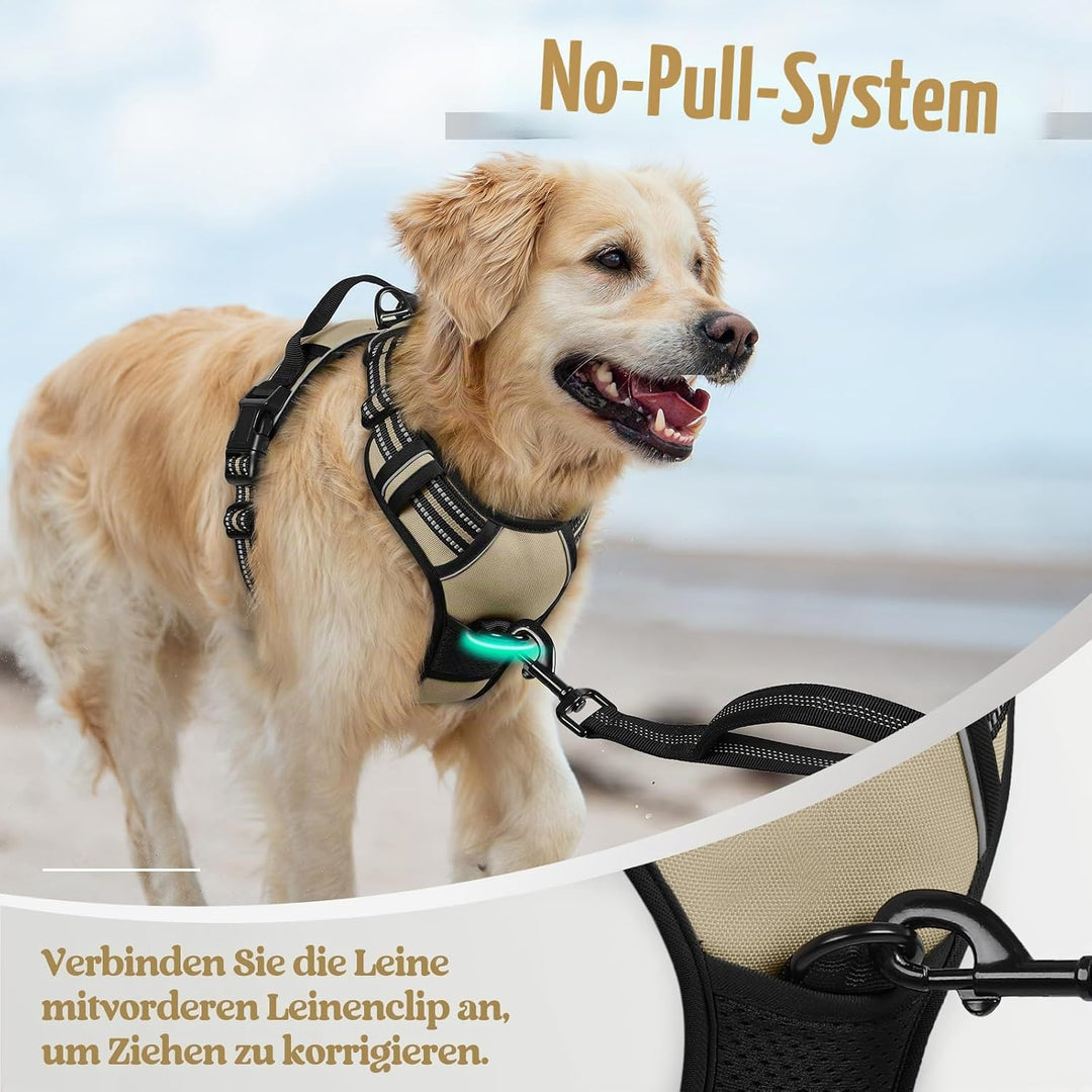 rabbitgoo Hundegeschirr Mittelgrosse Hunde, Anti Zug Geschirr mit Kontrolle, No Pull Verstellbar Hun