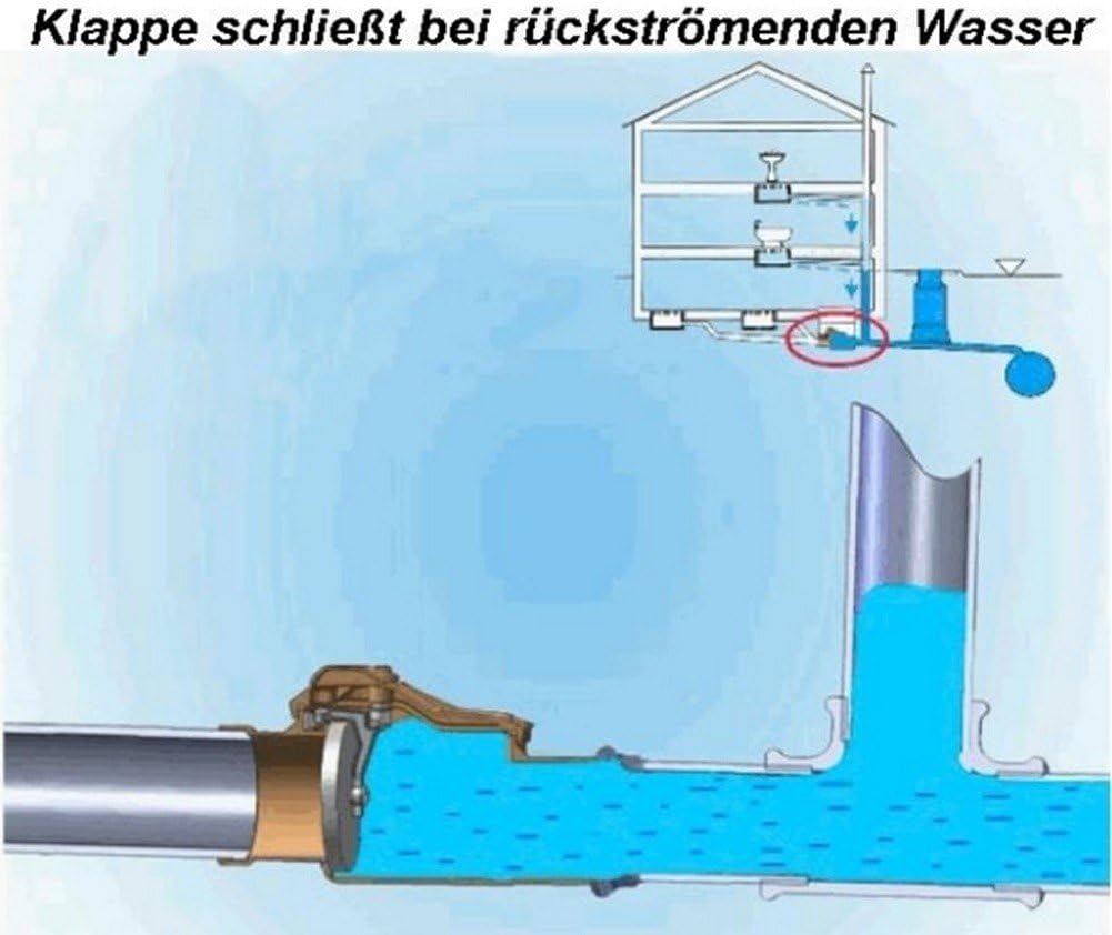 Capricorn 9-5000-160-00-03-11 Rückstauverschluss, Orange
