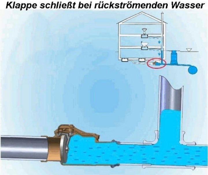 Capricorn 9-5000-160-00-03-11 Rückstauverschluss, Orange