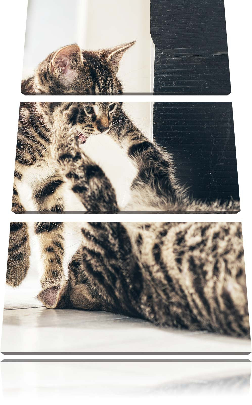 Pixxprint Fighting Cats 3-Teiler Leinwandbild 120x80 Bild auf Leinwand