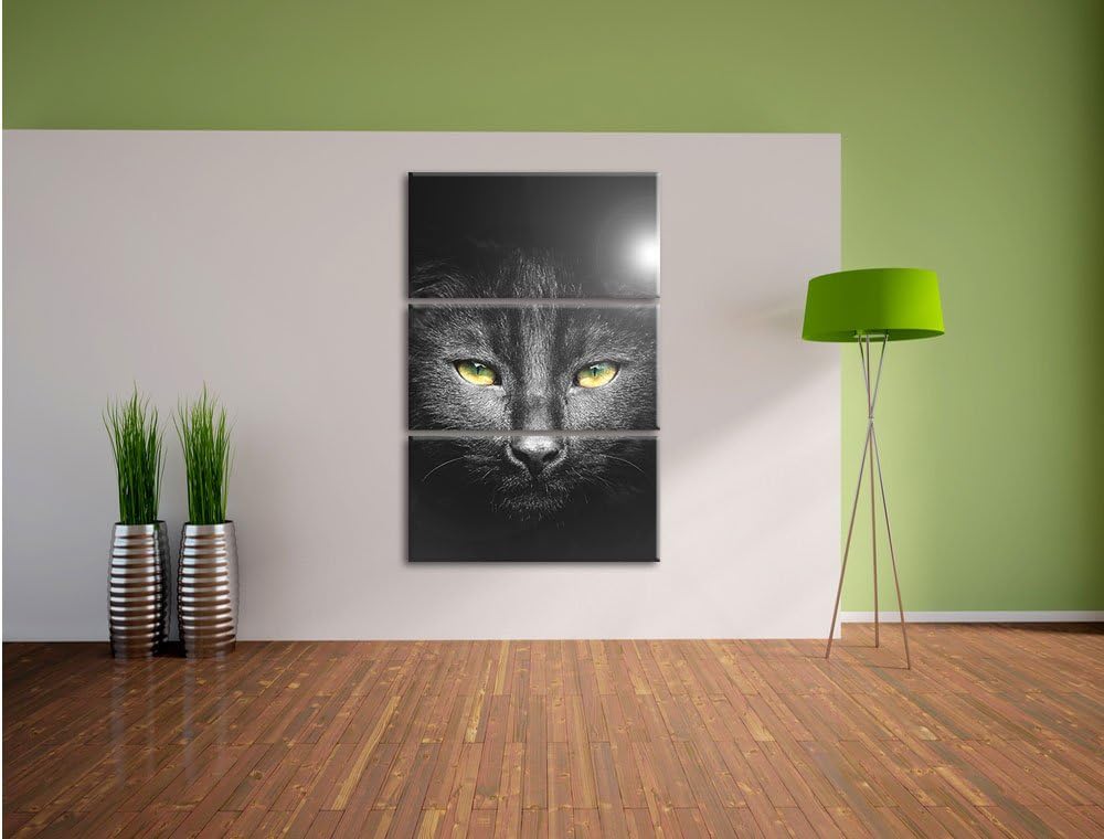 Pixxprint Katzenkopf mit düsterem Hintergrund schwarz/weiss als Leinwandbild/Grösse: 3 Teilig (120x8