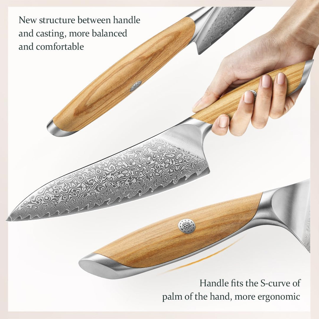 HEZHEN Damast Küchenmesser Set 5-Teilig, Professionelles Damaszener Stahl Kochmesser Set Santoku Mes