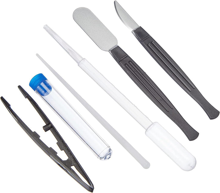 National Geographic Durchlicht Mikroskop 300x-1200x für Kinder mit batteriebetriebener Beleuchtung,