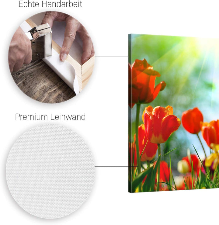 ge Bildet Bild auf Leinwand | Frühlings Tulpen in 120x80 cm als Wandbild XXL | Wand-deko Dekoration