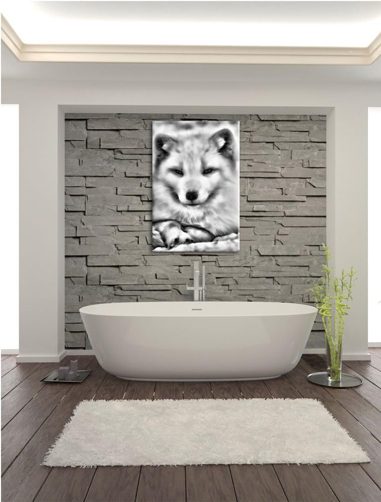 Monocrome, Weisser Fuchs, Format: 100x70 auf Leinwand, XXL riesige Bilder fertig gerahmt mit Keilrah