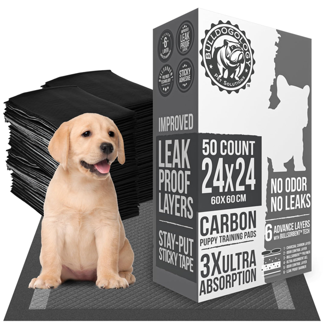 Bulldoglogy Welpen-Pads mit Klebeband, Carbonschwarz, gross, anthrazit, für das Training von Hunden,