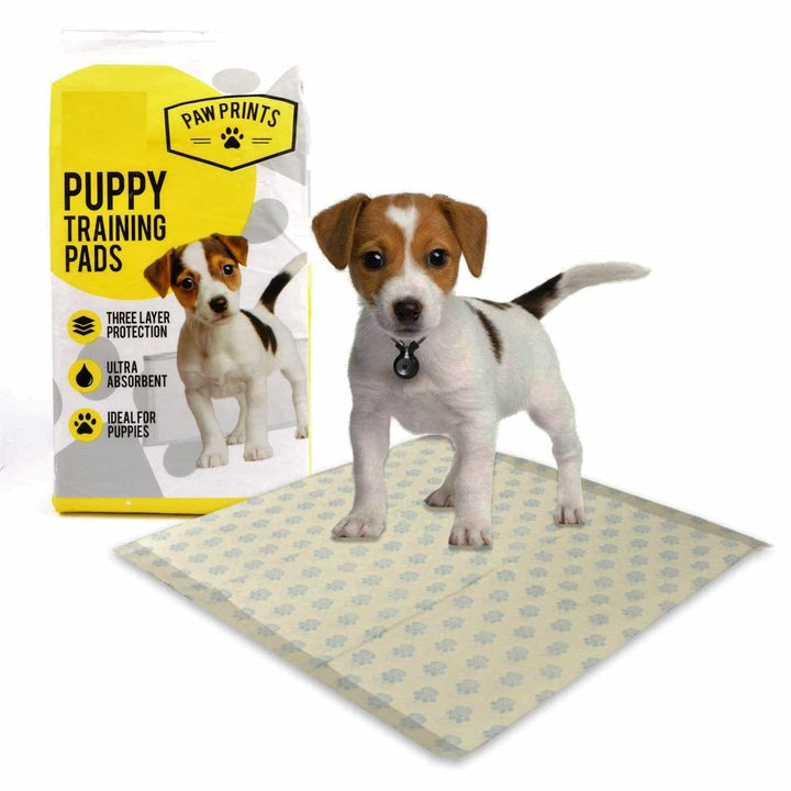 Paw Prints 100 x grosse absorbierende Trainingsunterlagen für Hunde und Welpen, transparent