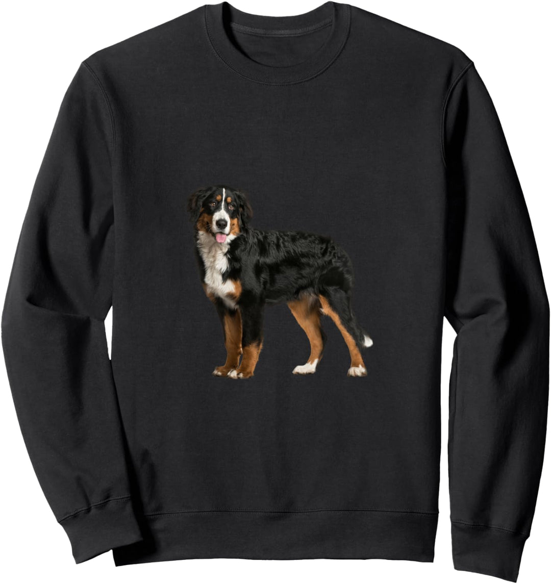 Berner Sennenhund Hund Sweatshirt