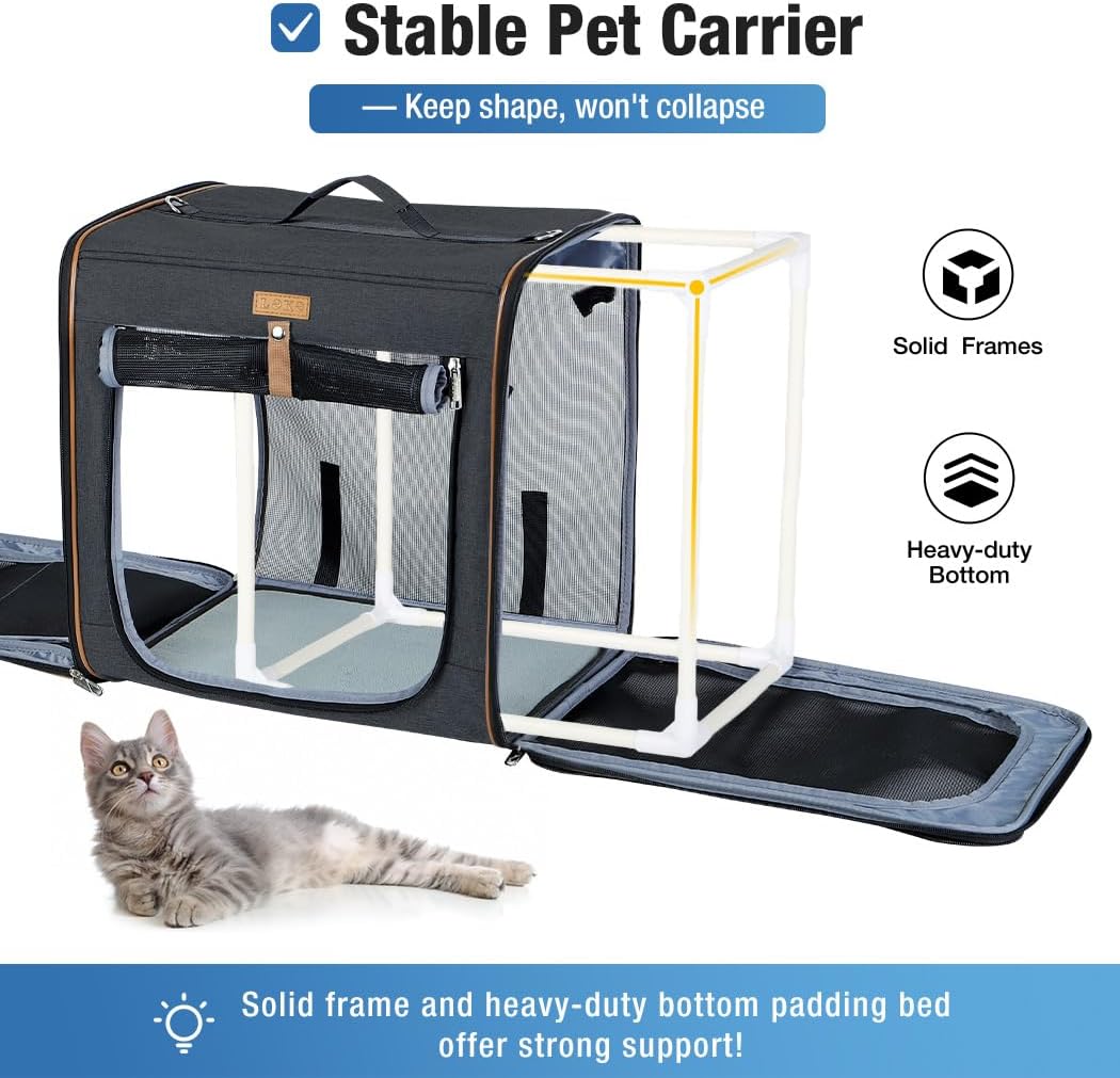 2-in-1 Hundebox Transportbox Katze für Mittelgrosses Haustier, Faltbare Katzentransportbox mit Stark