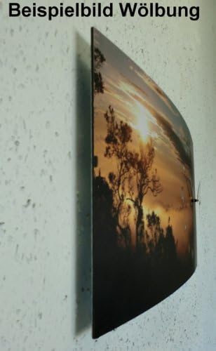 Kreative Feder Frosch Cool Designer Funk Wanduhr Funkuhr modernes Design * Made in Germany* WA081F