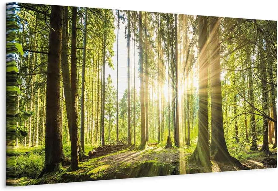 murando - Bilder Wald 150x50 cm Vlies Leinwandbild 1 tlg Kunstdruck modern Wandbilder XXL Wanddekora