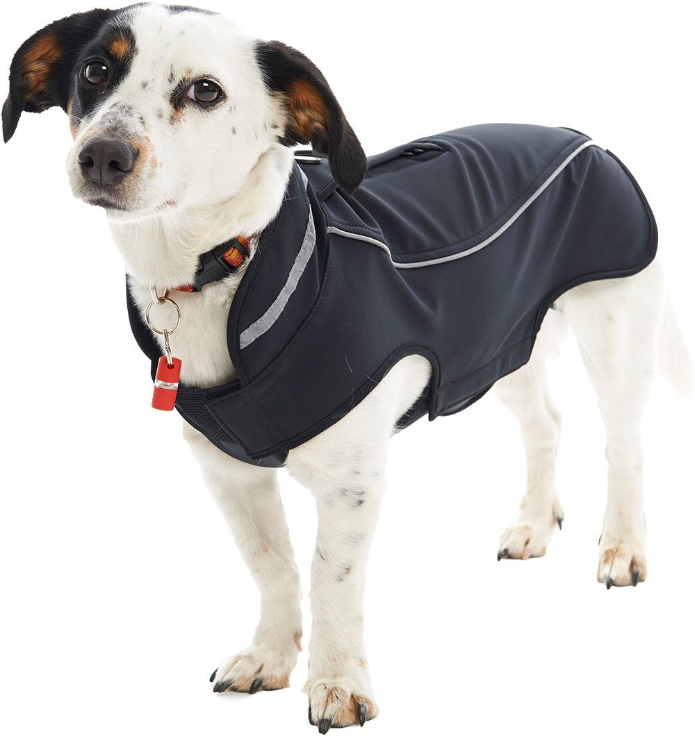 Buster Softshell Schwarz - Black Pepper Medium/Large, Schwarz - Black Pepper Medium/Large
