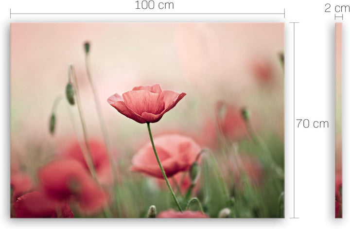 ge Bildet Bild auf Leinwand | Mohnblumenfeld - Blumen Natur Wiese rot rosa N in 100x70 cm als Wandbi