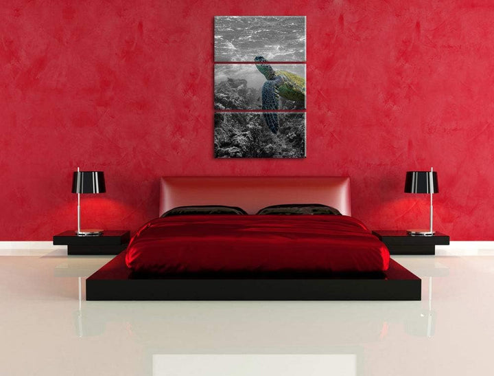 Schildkröte und Korallen im Ozean schwarz/weiss 3-Teiler Leinwandbild 120x80 Bild auf Leinwand, XXL