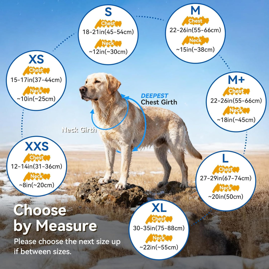 VIVAGLORY Frostfit Hundemantel, Hunde Wintermantel für Winter & Schnee, Hundejacke mit Bauchschutz,